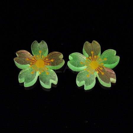 Luminous Resin Cabochons RESI-G030-01B-1