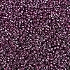 MIYUKI Delica Beads X-SEED-J020-DB1850-3