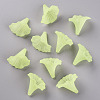 Transparent Acrylic Beads BSF796-C17-4