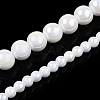 Electroplate Opaque Glass Beads Strands X-GLAA-T032-P4mm-AB02-4