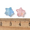Frosted Acrylic Charms OACR-M023-04B-3