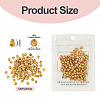 Picasso Glass Seed Beads SEED-TADJ0001-05E-3