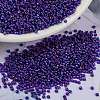 MIYUKI Round Rocailles Beads SEED-G009-RR1020-1