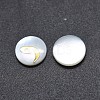Shell Cabochons SSHEL-E568-A11-1