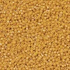 MIYUKI Delica Beads X-SEED-J020-DB0651-3