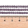 Imitate Austrian Crystal Frosted Glass Beads Strands EGLA-A039-T6mm-MD04-5