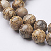 Natural Gemstone Beads Strands GSR12mmC016-2