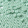 Opaque Colours Luster Glass Seed Beads SEED-E001-P3x6mm-A03-3
