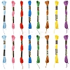6Bundles Polyester Embroidery Floss OCOR-YW0001-25H-2