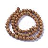 Natural Wood Lace Stone Beads Strands G-I199-17-6mm-3