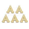 Alloy Pendants LS-PALLOY-N157-002A-NR-1