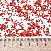 MIYUKI Round Rocailles Beads SEED-G009-RR0407-4