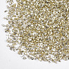 Plated Glass Seed Beads MRMJ-S034-04J-2
