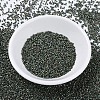 MIYUKI Delica Beads Small X-SEED-J020-DBS0324-2