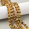 Natural Amber Beads Strands G-L095-E01-03-1