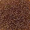 TOHO Round Seed Beads SEED-JPTR08-0754-2