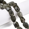 Natural Labradorite Beads Strands G-N342-146-4