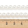Glass Pearl Beads Strands X-HY-G002-01C-01-5