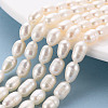 Natural Cultured Freshwater Pearl Beads Strands X-PEAR-S012-41D-4
