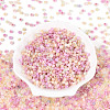 6/0 Glass Seed Beads SEED-N008-07J-2