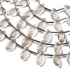 Natural Smoky Quartz Beads Strands G-P607-A10-01-4