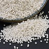 MIYUKI Delica Beads X-SEED-J020-DB0211-1