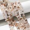 Natural Rutilated Quartz Beads Strands G-M205-96-5