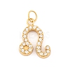 316 Stainless Steel Micro Pave Cubic Zirconia Pendants STAS-K284-01G-G-1