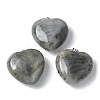 Natural Labradorite Pendants G-A259-02P-02-1