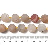 Natural Geode/Druzy Agate Beads Strands G-A248-A05-01-5