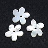 Natural White Shell Beads SSHEL-I008-03-1