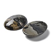 Natural Dendritic Jasper Cabochons X-G-F608-02A-01-2