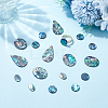 18Pcs 4 Styles Natural Paua Shell Cabochons SHEL-WR0001-10-4