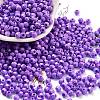 Baking Paint Glass Seed Beads SEED-A032-02T-1
