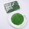 Transparent Glass Bugle Beads SEED-N005-001-C02-2
