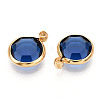 K9 Glass Charms GLAA-T023-37A-07-2