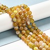Natural Striped Agate/Banded Agate Beads Strands G-A246-10mm-15-6