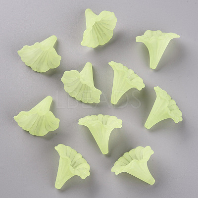 Transparent Acrylic Beads BSF796-C17-1