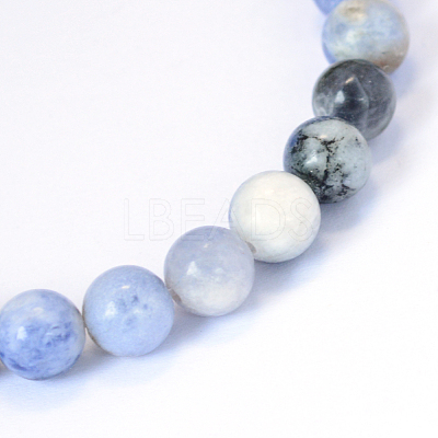 Natural Sodalite Round Bead Strands X-G-E334-10mm-08-1