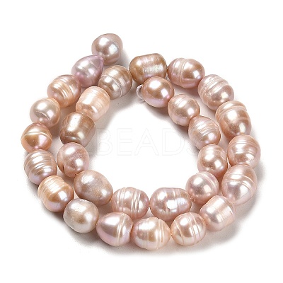 Natural Cultured Freshwater Pearl Beads Strands PEAR-E016-107-1