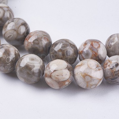 Natural Maifanite/Maifan Stone Beads Strands G-I187-6mm-01-1