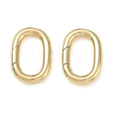 Brass Spring Gate Clasps KK-CBA50B0-29G-1