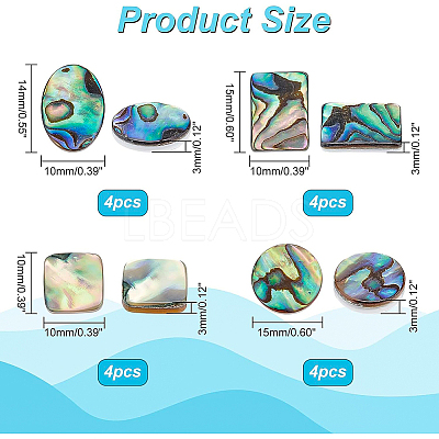 16Pcs 4 Style Natural Shell Cabochons SSHEL-BC0001-23-1