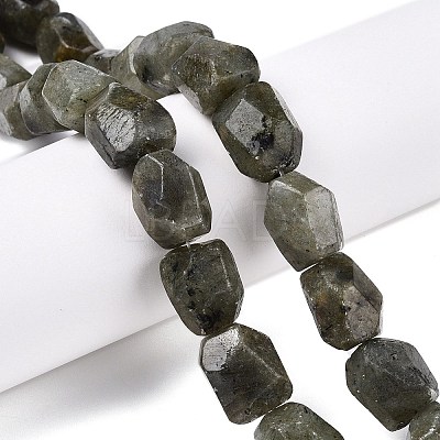 Natural Labradorite Beads Strands G-N342-146-1