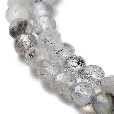 Natural Labradorite Beads Strands LS-G-I341-11-1