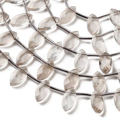 Natural Smoky Quartz Beads Strands G-P607-A10-01-1