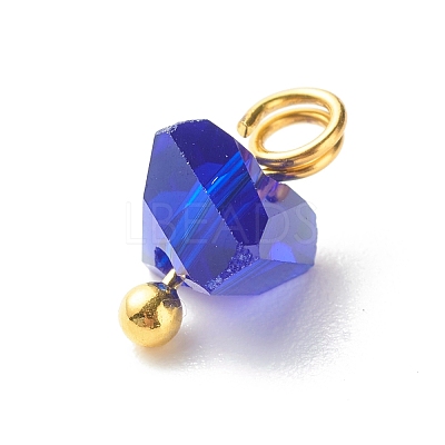Electroplate Glass Charms PALLOY-JF00821-01-1