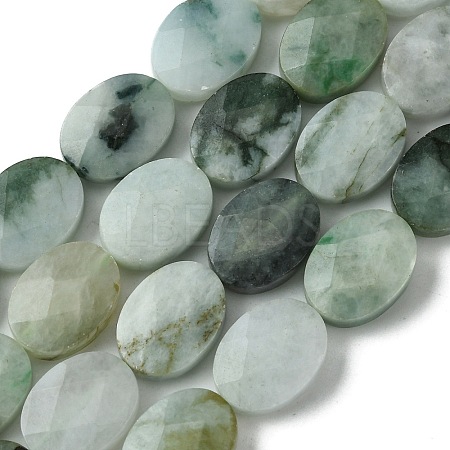 Natural Myanmar Jadeite Beads Strands G-A092-E01-03-1