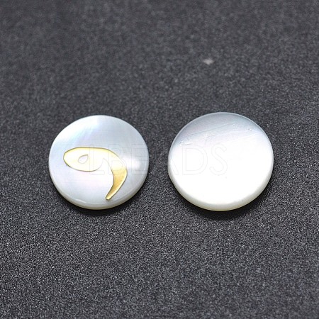 Shell Cabochons SSHEL-E568-A11-1