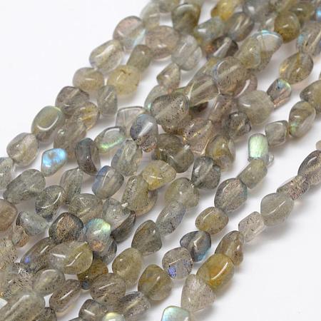 Natural Labradorite Beads Strands G-F521-42-1